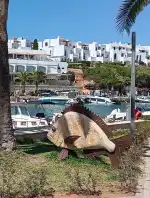 Port Esportiu Marina de Cala d'Or - Image 8