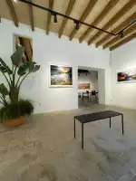 IN THE GALLERY MUSEUM