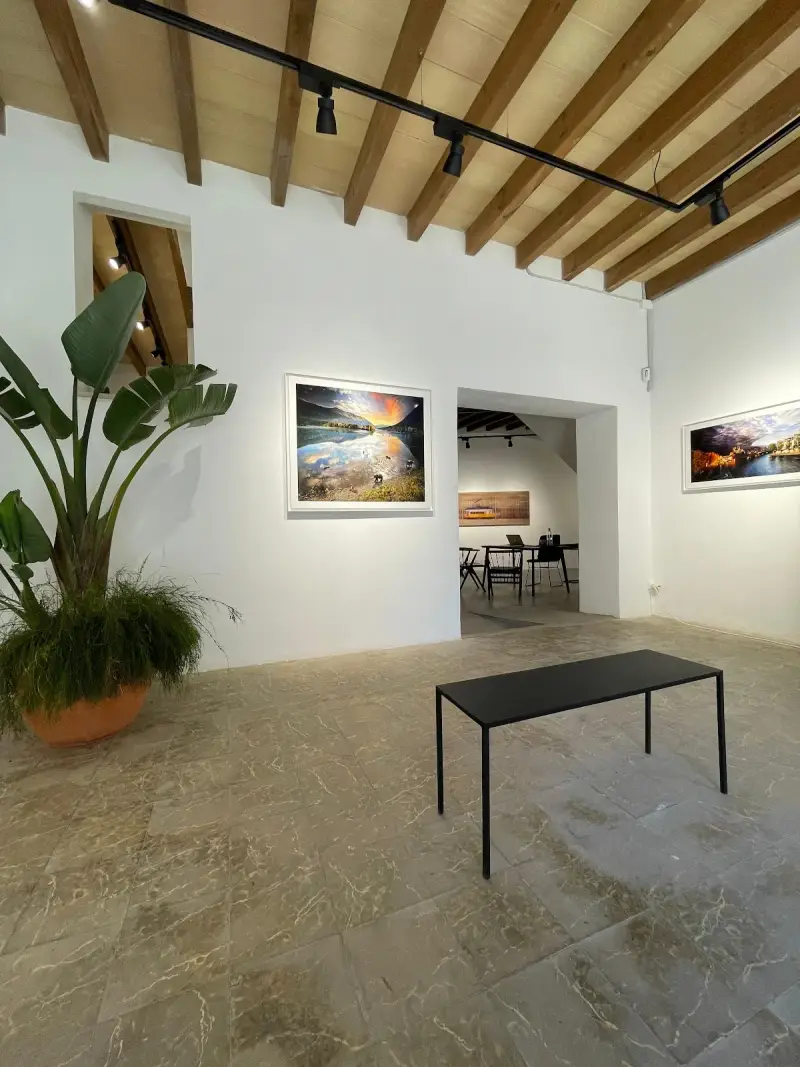 IN THE GALLERY MUSEUM - Bild 1