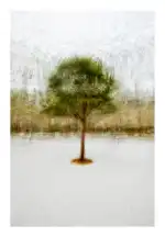 IN THE GALLERY MUSEUM - Bild 8