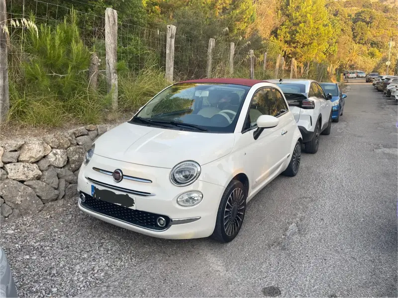 Autos Bonsai - Bild 1