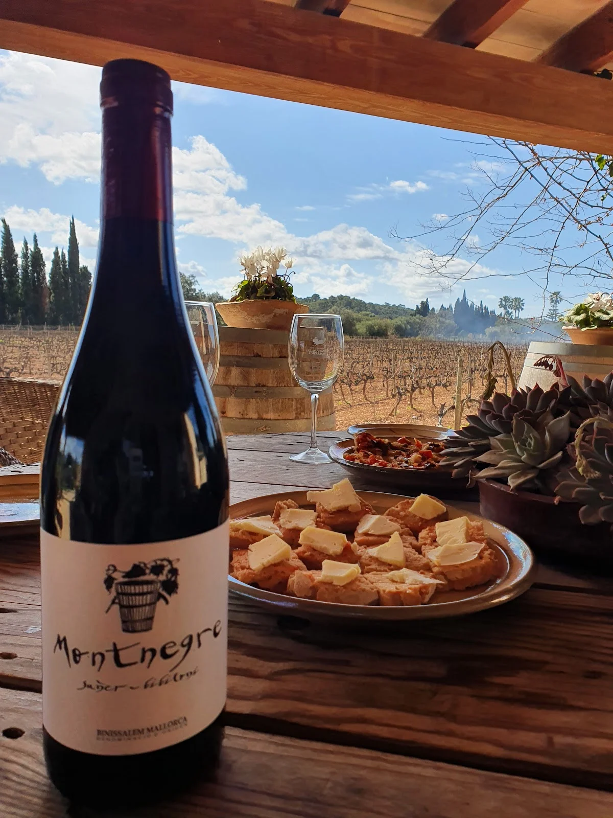 Bodega Ca Sa Padrina