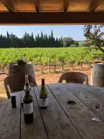 Bodega Ca Sa Padrina - Bild 6