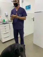 Clínica Veterinària Metropòlitan - Bild 7