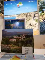 Transfers Pellicer - Imagen 5