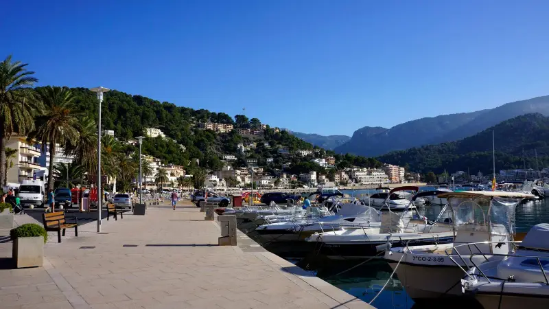 IPM Immobilien Mallorca - Bild 1