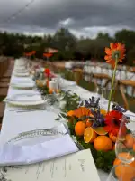 M M Experiences - Imagen 3