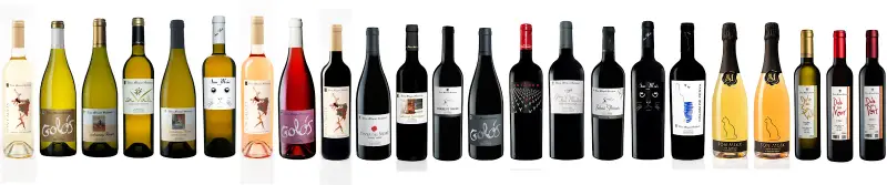 Vins Miquel Gelabert - Bild 1