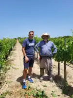 Vins Miquel Gelabert - Bild 7