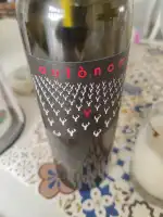 Vins Miquel Gelabert - Bild 8