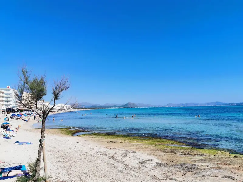 Platja de Can Picafort - Bild 1