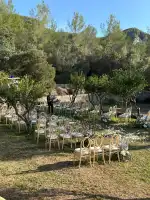 ALMOND SOULS - Bild 5