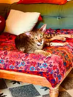 Deiarte Gallery & Bar - Bild 6