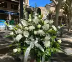 Marga Florist - Bild 10