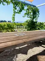 Bodegas Butxet - Bild 5