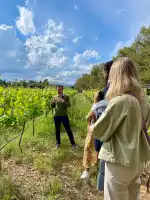 Bodega Caseta Vella - Bild 9