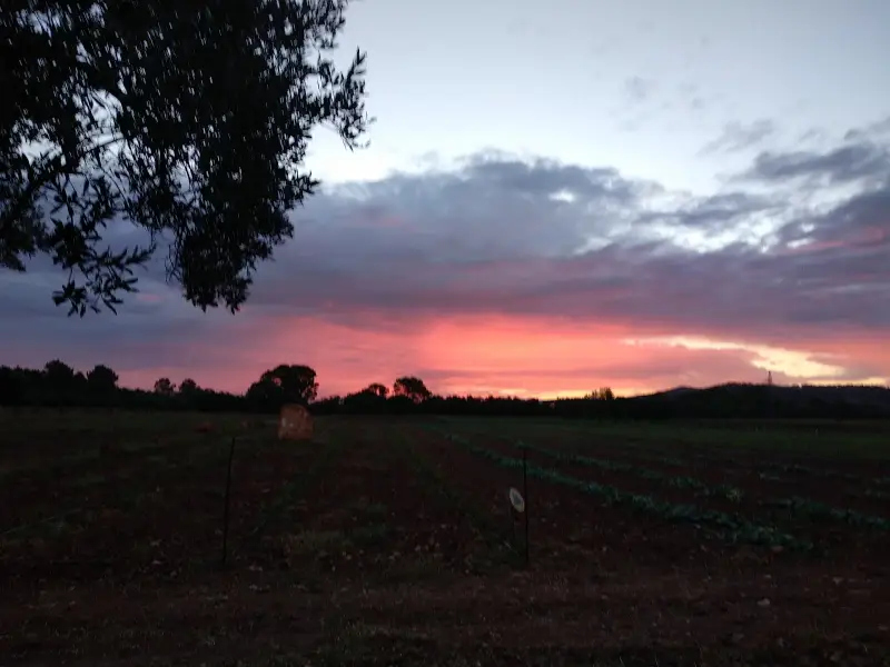 Finca Son Garcies - Imagen 1