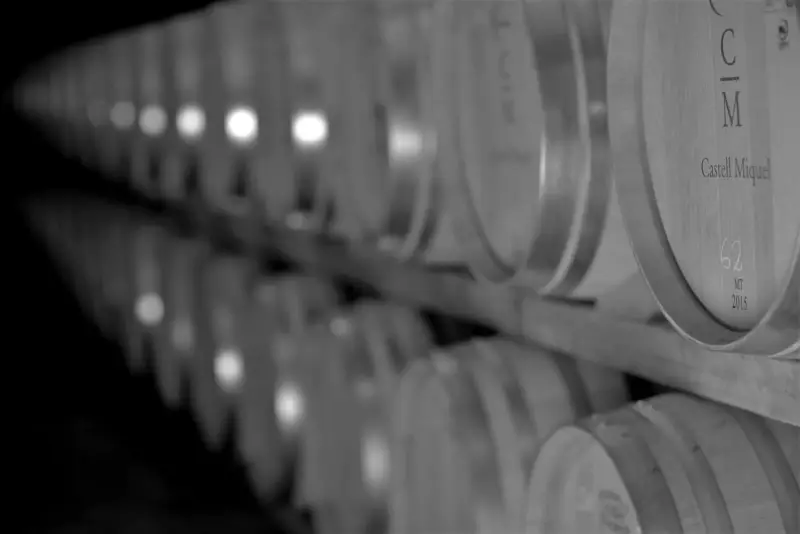 Bodegues Castell Miquel - Image 1