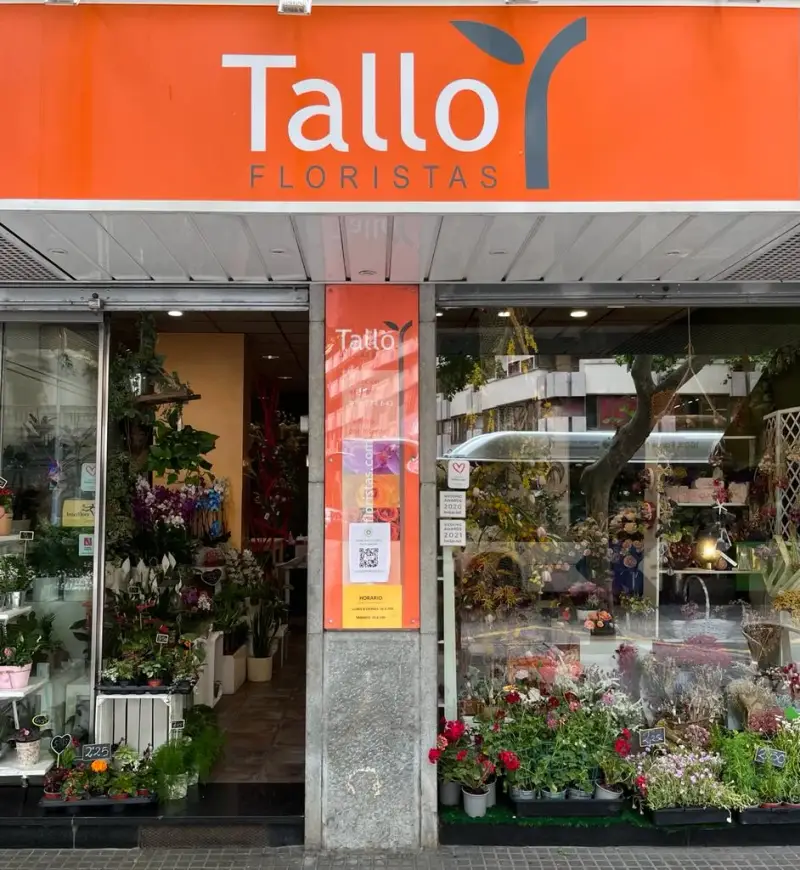 Tallo Floristas - Bild 1