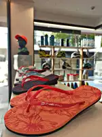 Sports Island - Bild 3