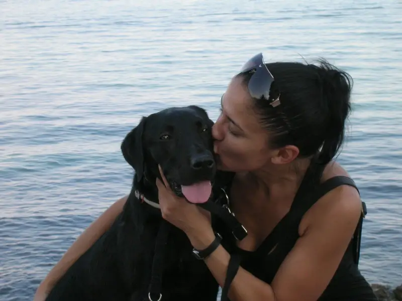 Clínica Veterinària Manacor - Bild 1