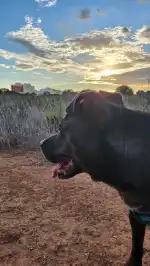 Clínica Veterinària Manacor - Bild 5