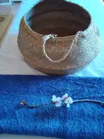 Reconexión Mallorca - Bild 8