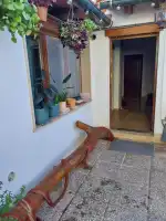 Thai Massage Therapy - Bild 5