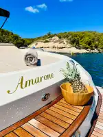 Sun Boats Charter Mallorca - Bild 7