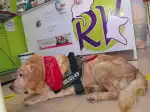La Ribera Veterinaris - Bild 9