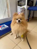 La Ribera Veterinaris - Bild 8