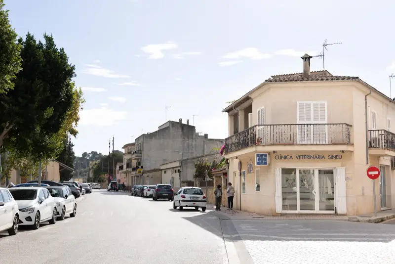 Clínica Veterinària Sineu - Bild 1