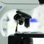 Clínica Veterinària Sineu - Bild 9