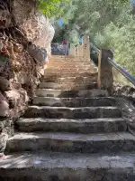 Platja de Cala Pi - Image 10