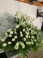 Flors I Verdesca - Bild 6