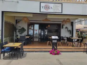 Terra - Bild 1