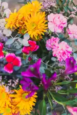 La Mimosa Atelier - Bild 4