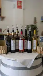 Son Cavaller - Image 9