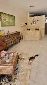 Peluqueria Anja - Bild 9