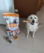 Boutique Animal - Bild 7