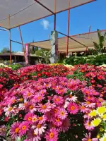 Jardins de Tramuntana - Bild 5