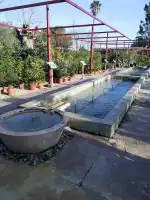 Jardins de Tramuntana - Bild 7