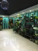 Art Viu Disseny floral