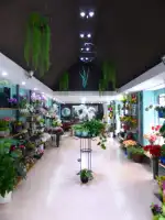 Art Viu Disseny floral - Bild 10