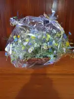 Art Viu Disseny floral - Bild 8