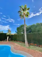 LP Mallorca i Barcelona - Image 2