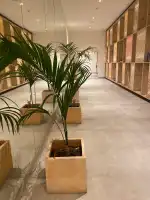 Momentum Plaza - Bild 10