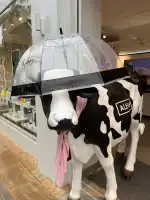 Momentum Plaza - Bild 7