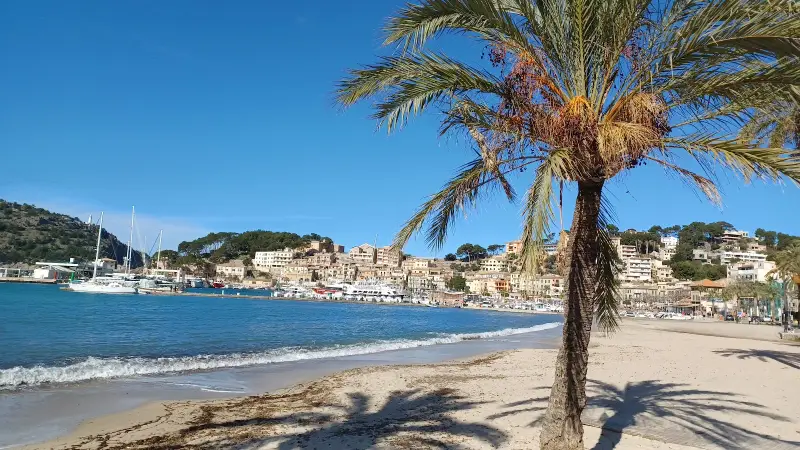 Verd Sóller S.L. - Bild 1