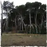 Residència Can Picafort - Bild 9